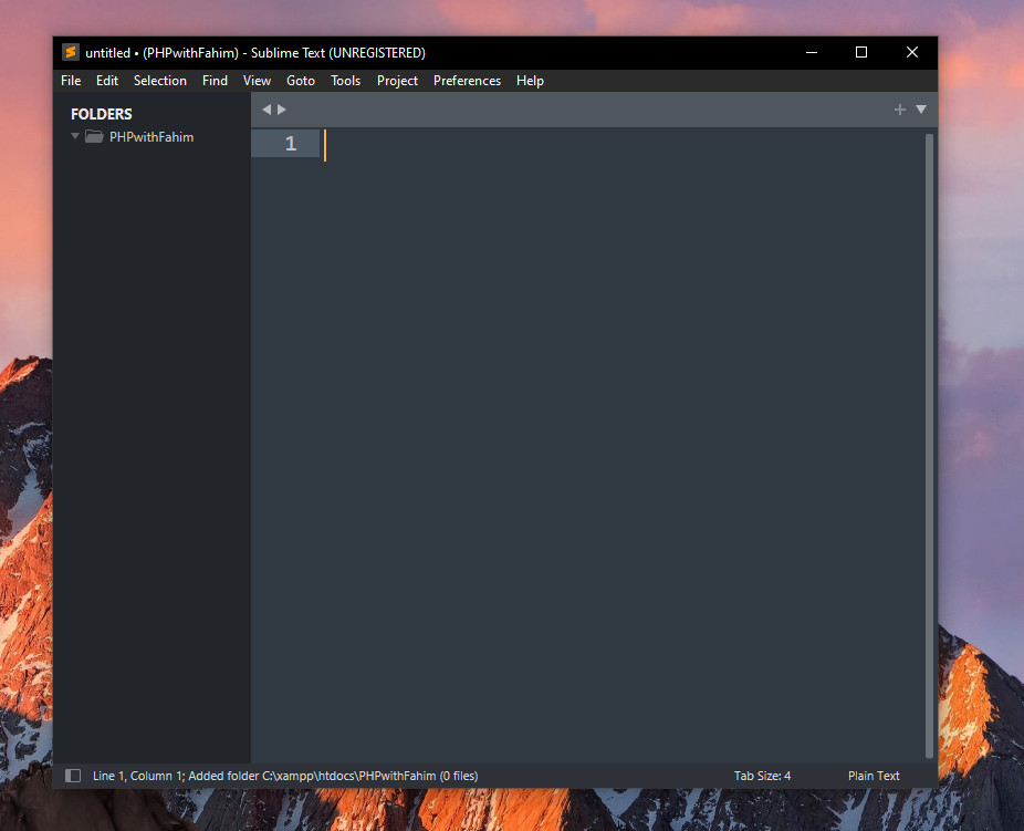 interface of Sublime text